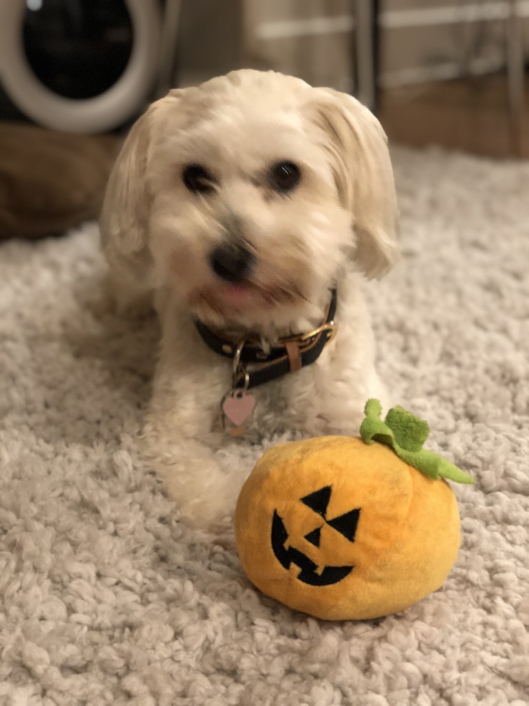 Luna