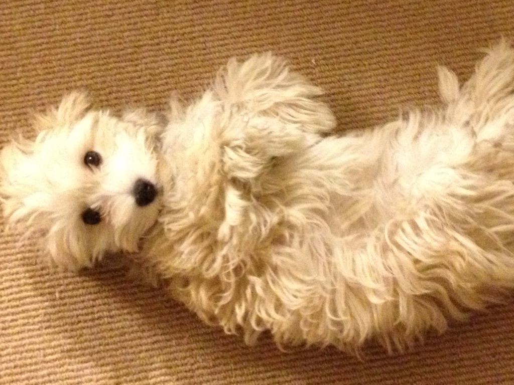 Luna